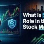 What Is SEB Role in the Stock Market